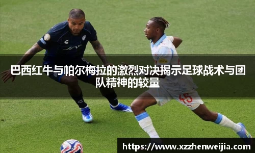 米兰体育